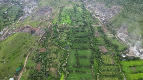 Bird Eye View of the Farm